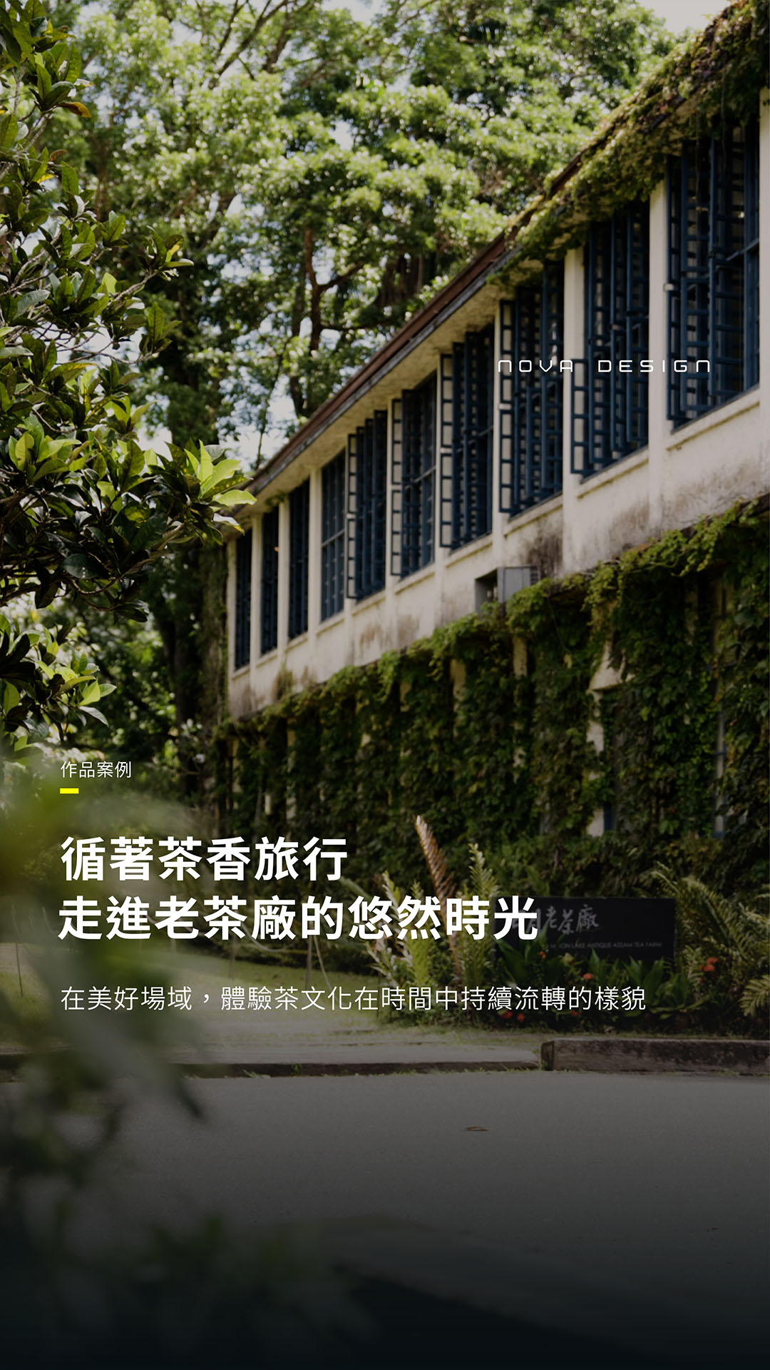 台灣農林茶廠系列短影音 日月老茶廠